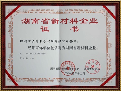 Hunan New Material Enterprise Certificate